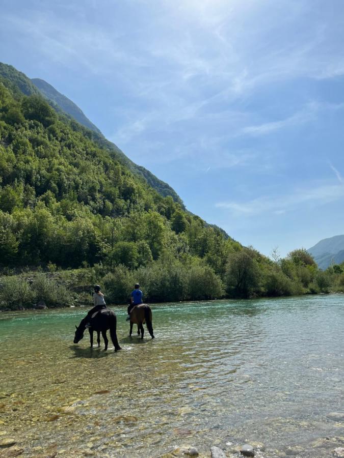 Apartment Baban In Zaga, Slovenia Εξωτερικό φωτογραφία